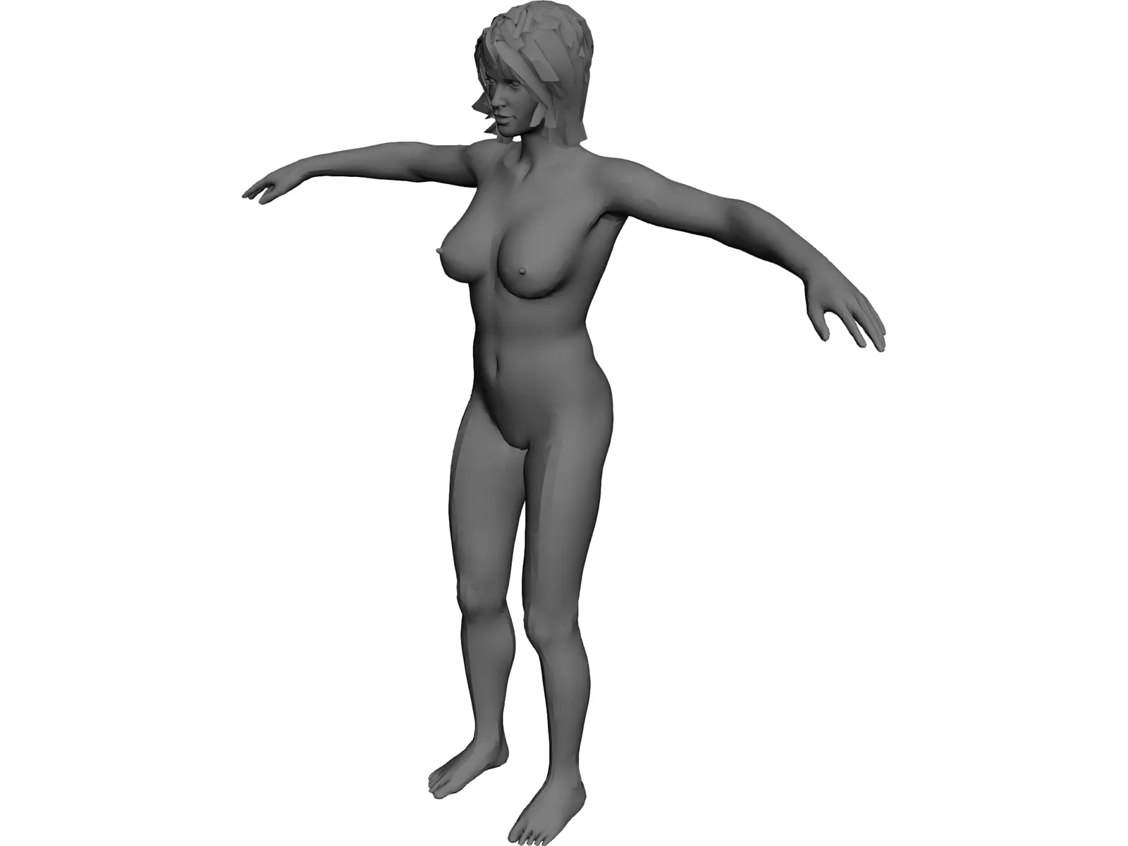 Female Anatomy Complete 3D Model main preview