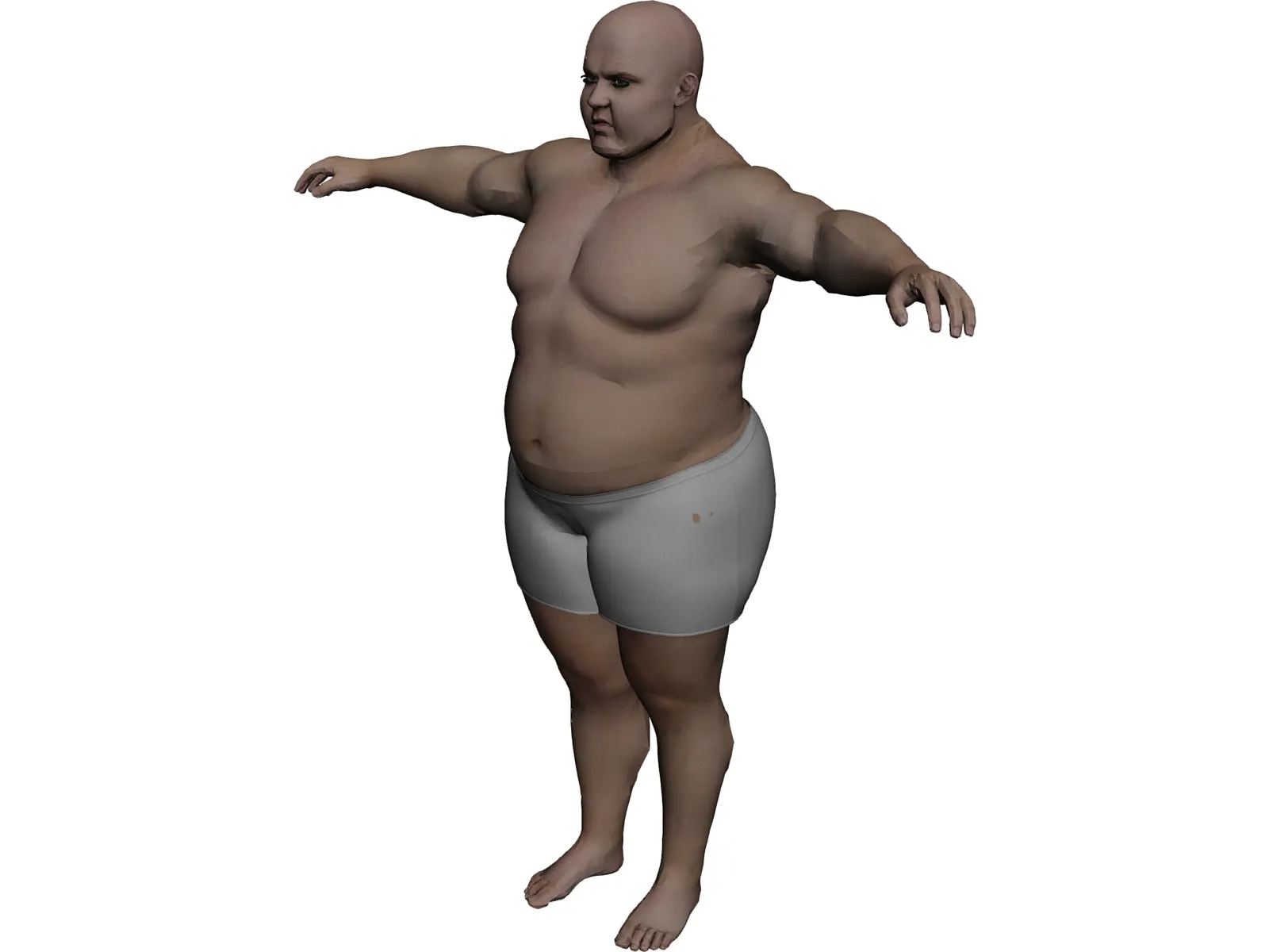 Fat Catcher 3D Model main preview