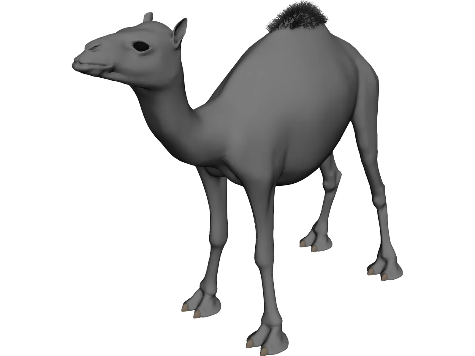 Camel 3D Model main preview