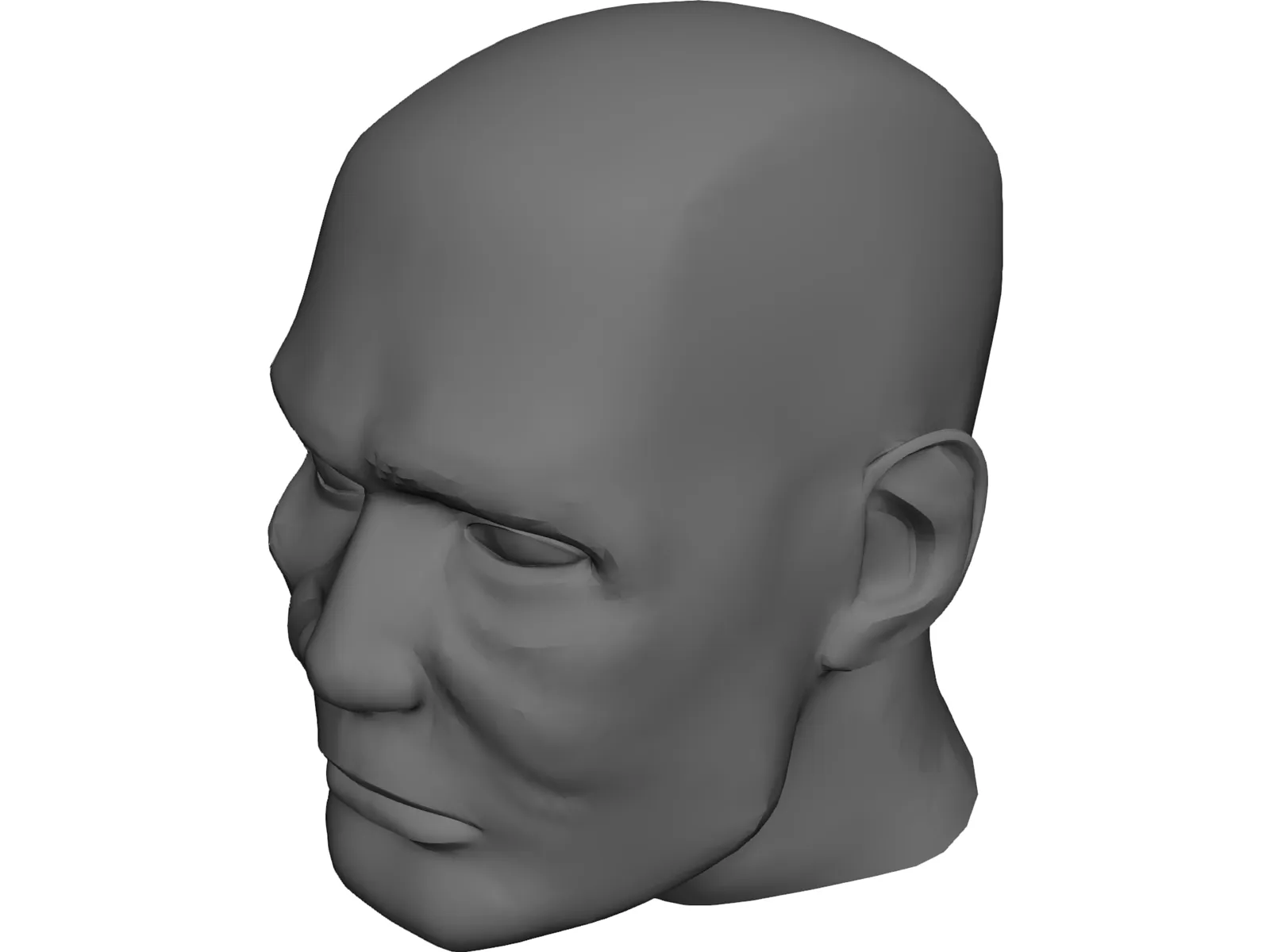 Male Human Head 3D Model main preview
