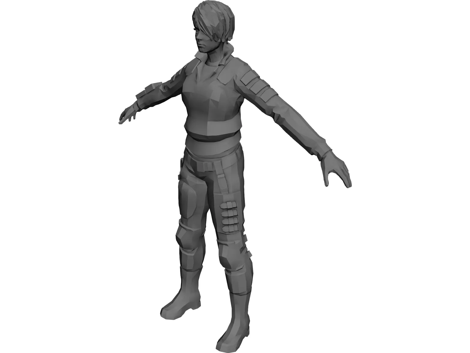 Tweed 3D Model main preview