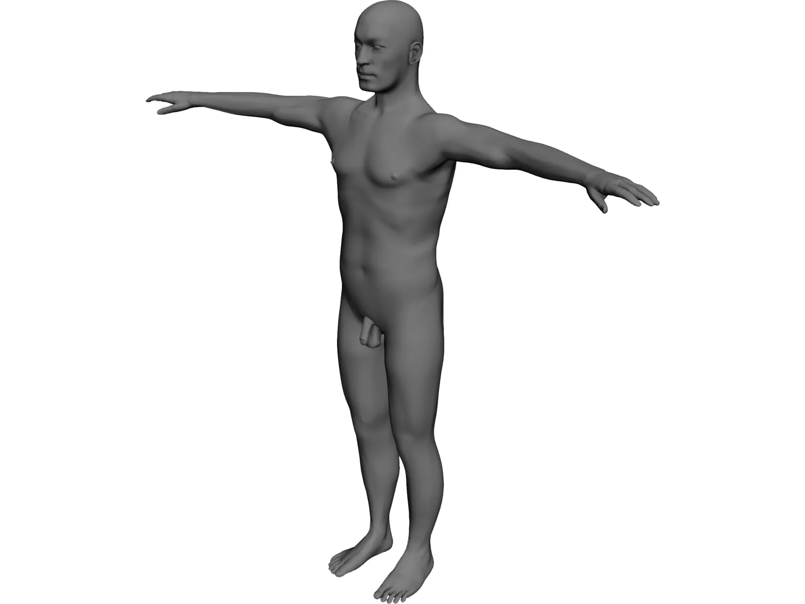 Man 3D Model main preview