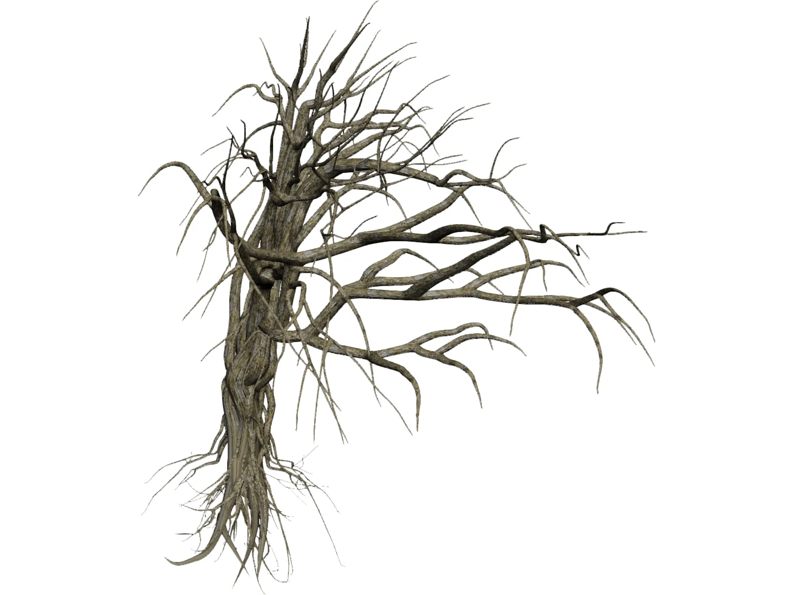 Dry Old Tree 3D Model main preview