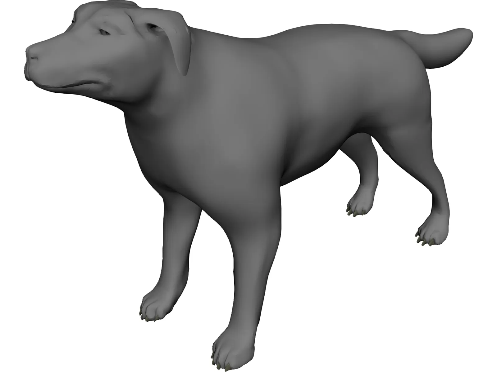 Dog 3D Model main preview