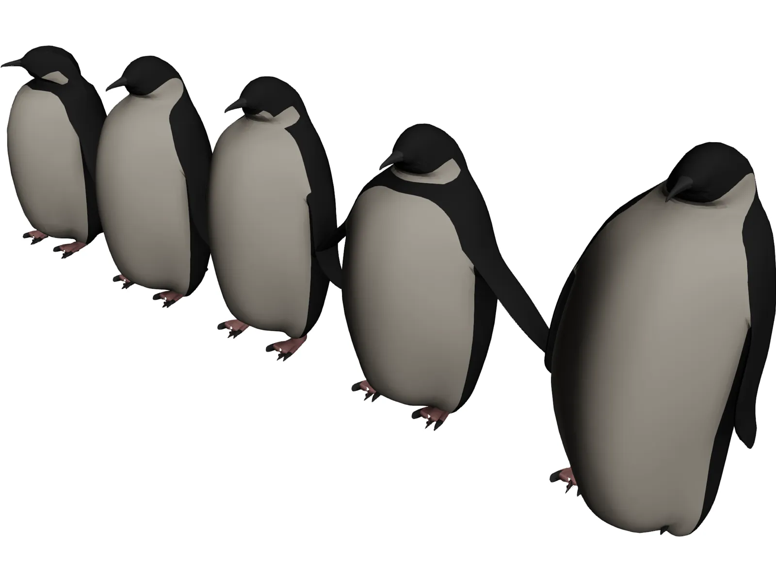 Penguins 3D Model main preview