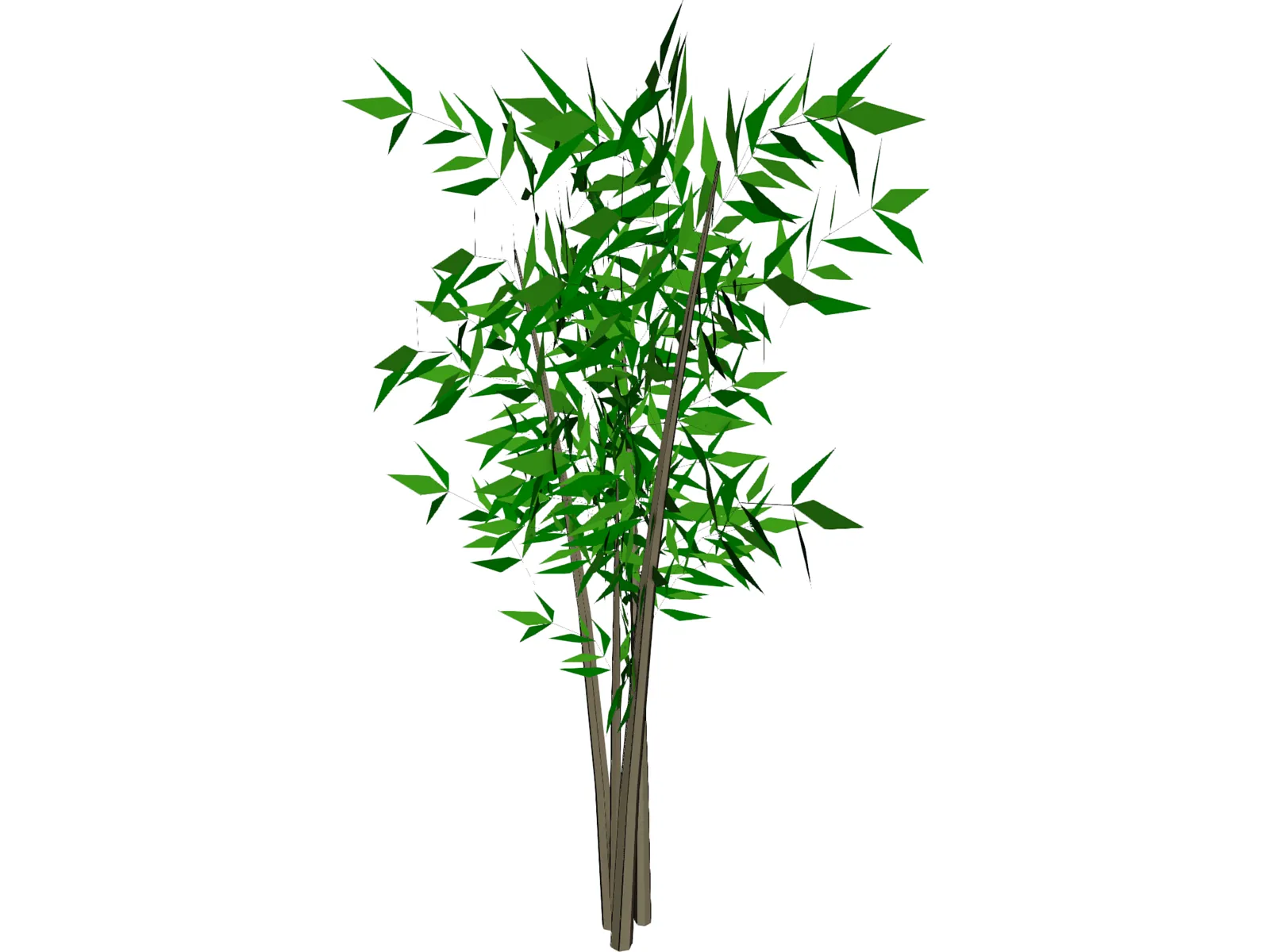 Bamboo Tree 3D Model main preview