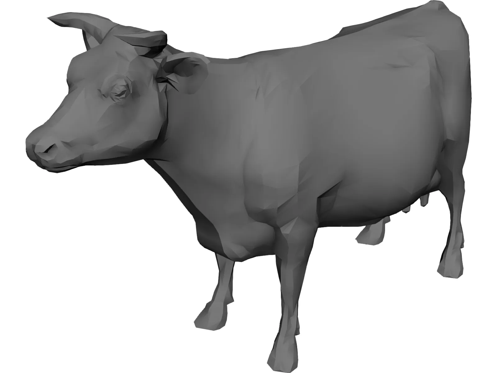 Bull Udder 3D Model main preview
