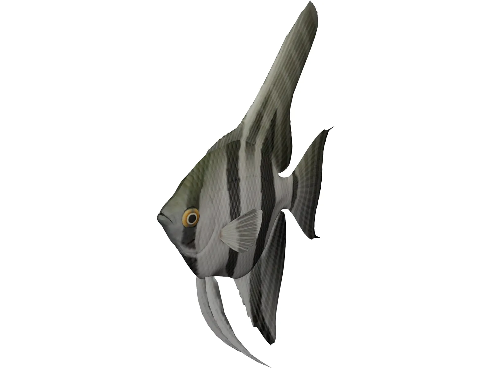 Angel 3D Model main preview