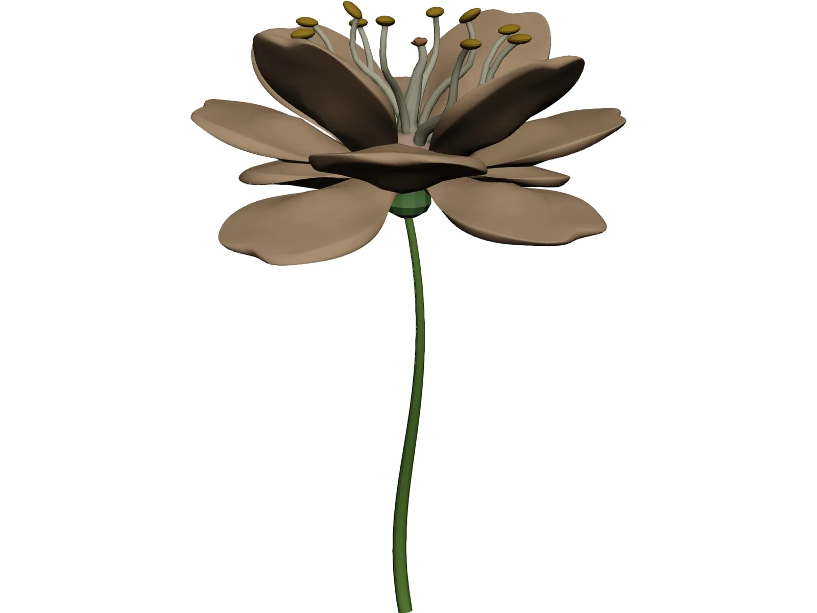 Camellialike 3D Model main preview