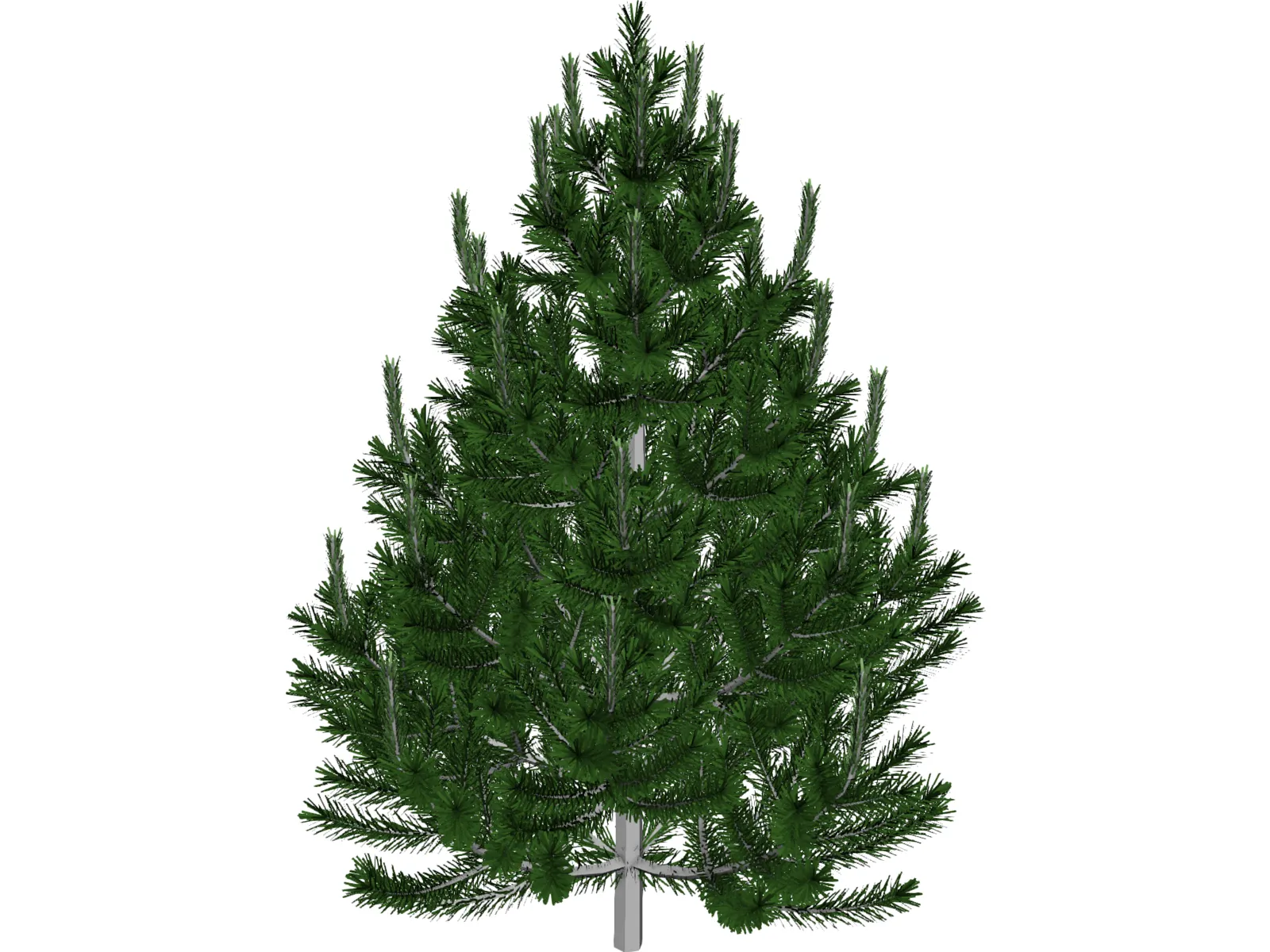 Pine Tree 3D Model main preview