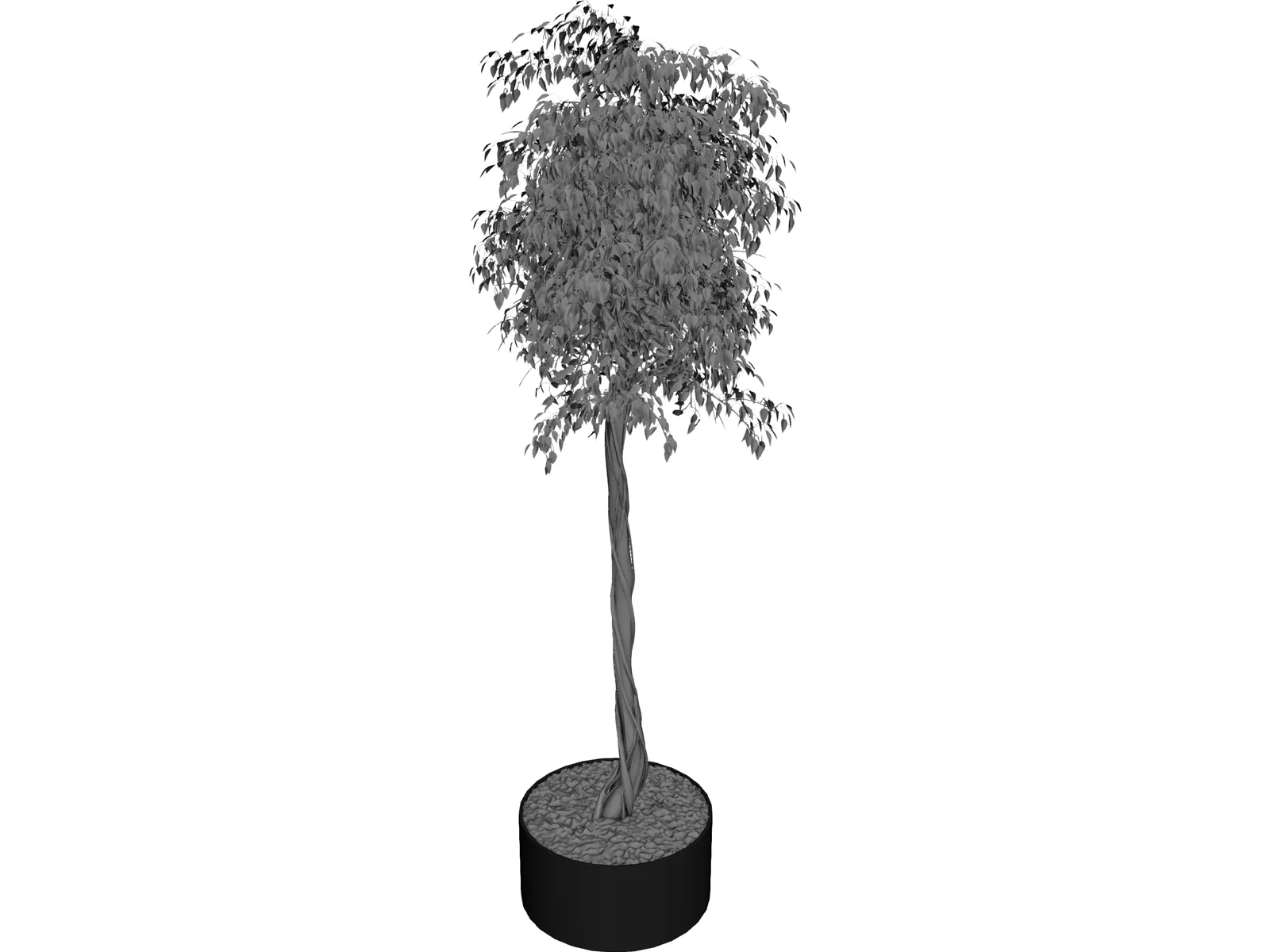 Arbol Tree 3D Model main preview
