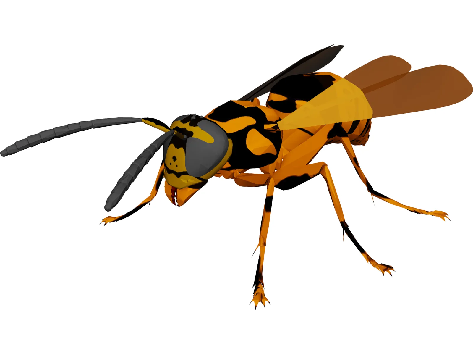 Wasp 3D Model main preview