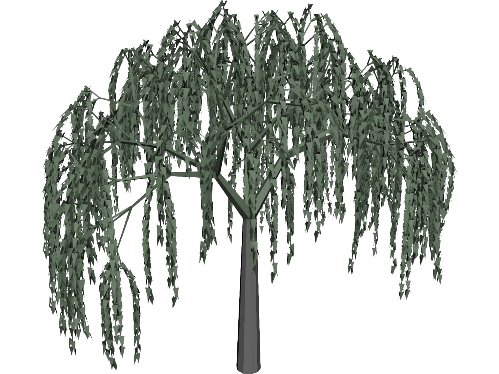 Willow Tree 3D Model main preview