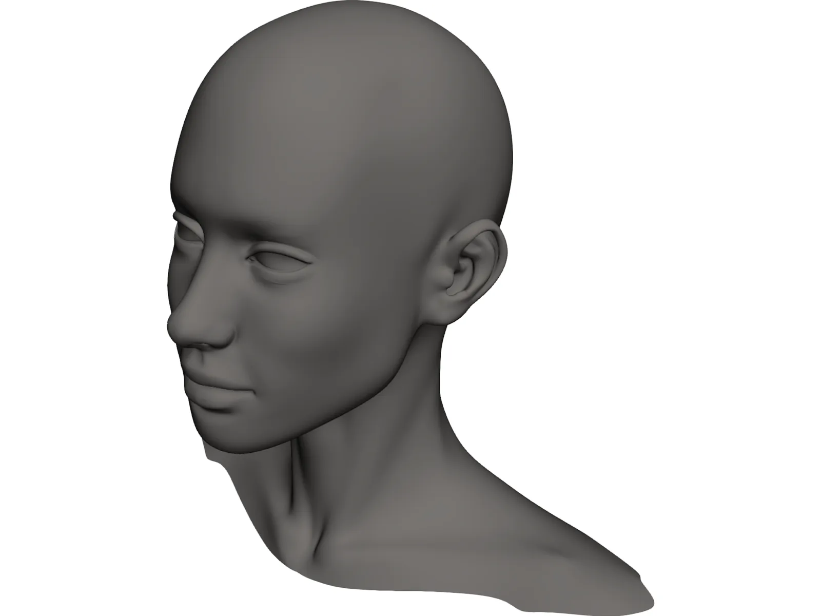 Head Female 3D Model main preview
