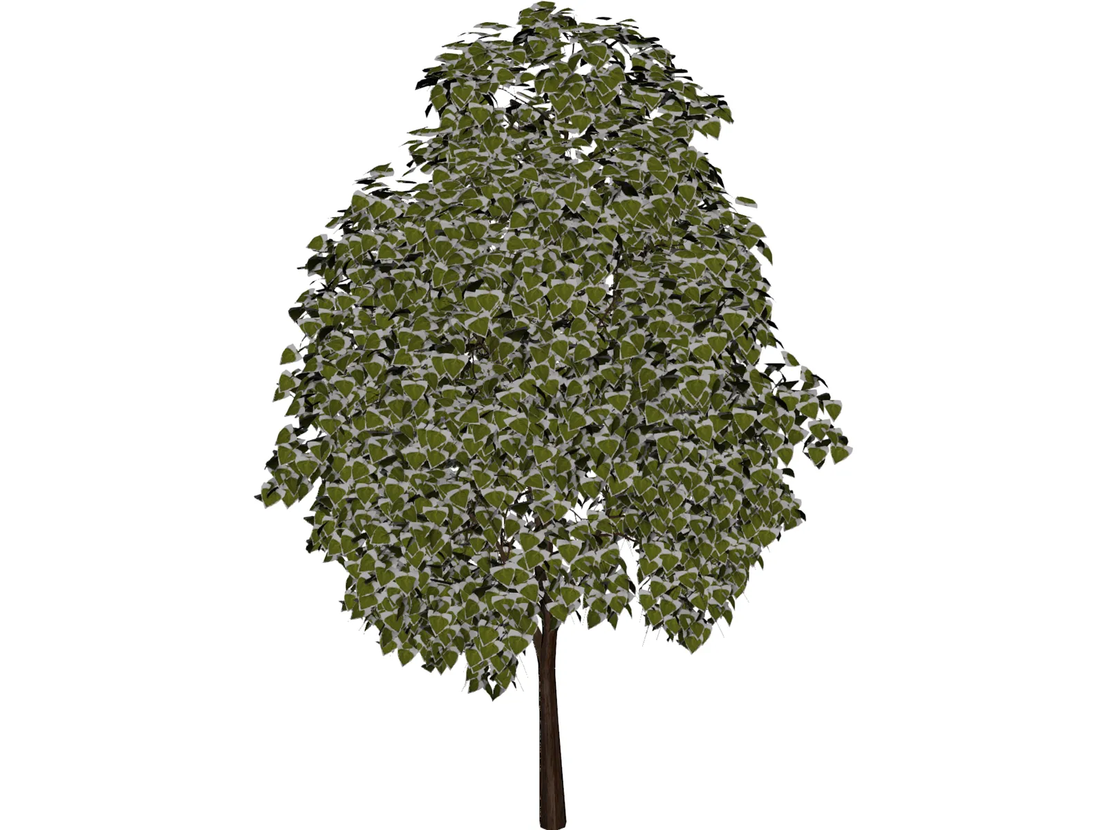 Pine Wood Tree 3D Model main preview