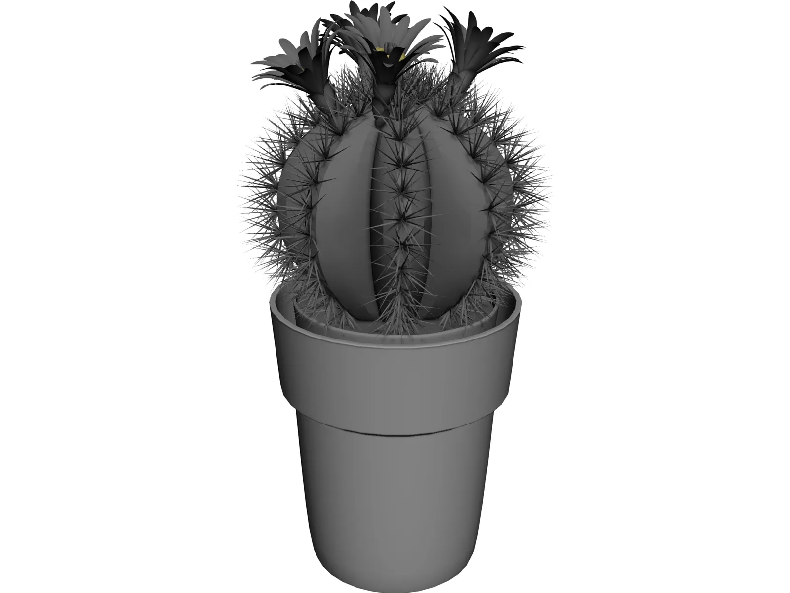 Cactus Pottet Round 3D Model main preview