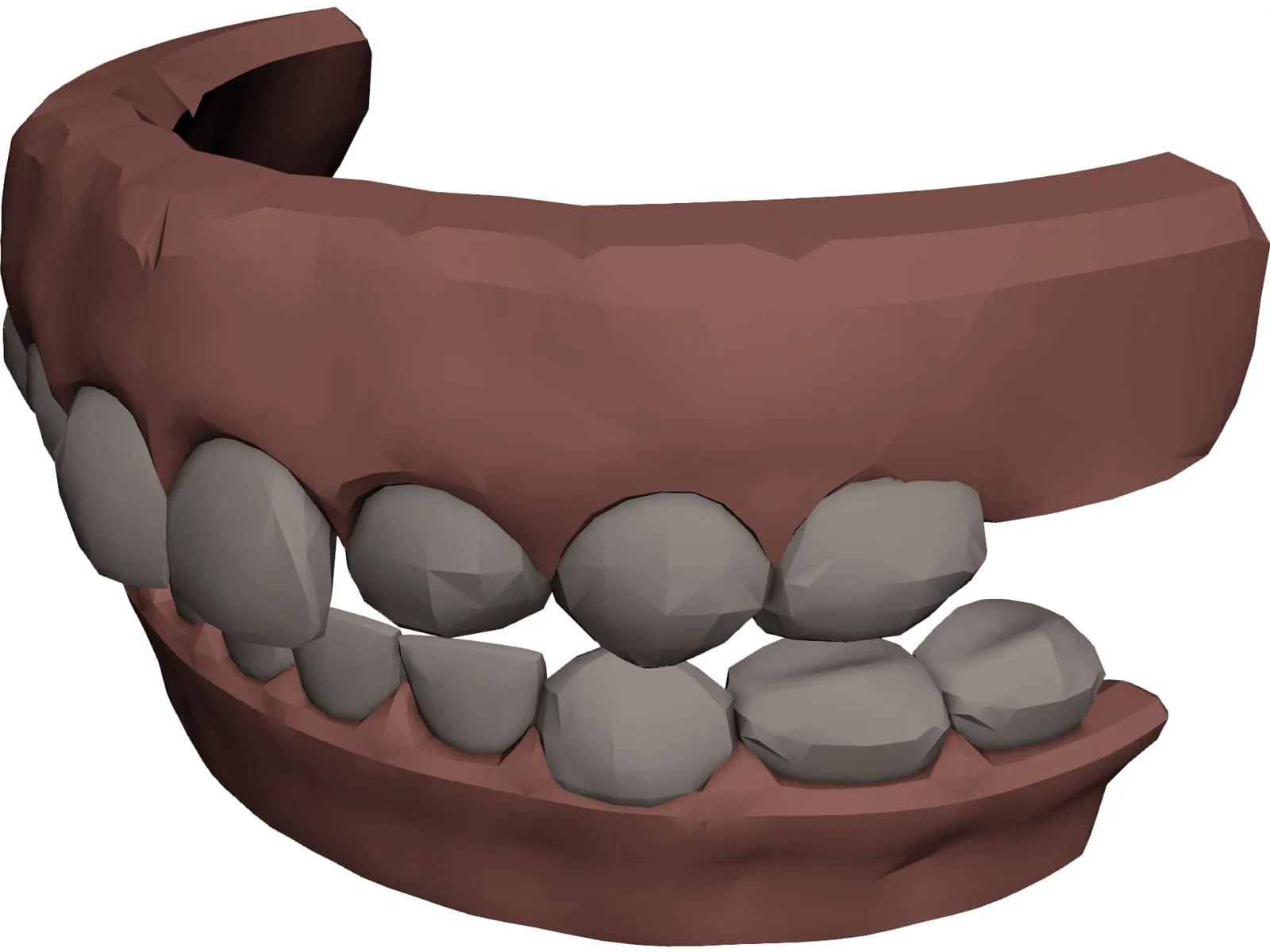 Jaw and Teeth 3D Model main preview
