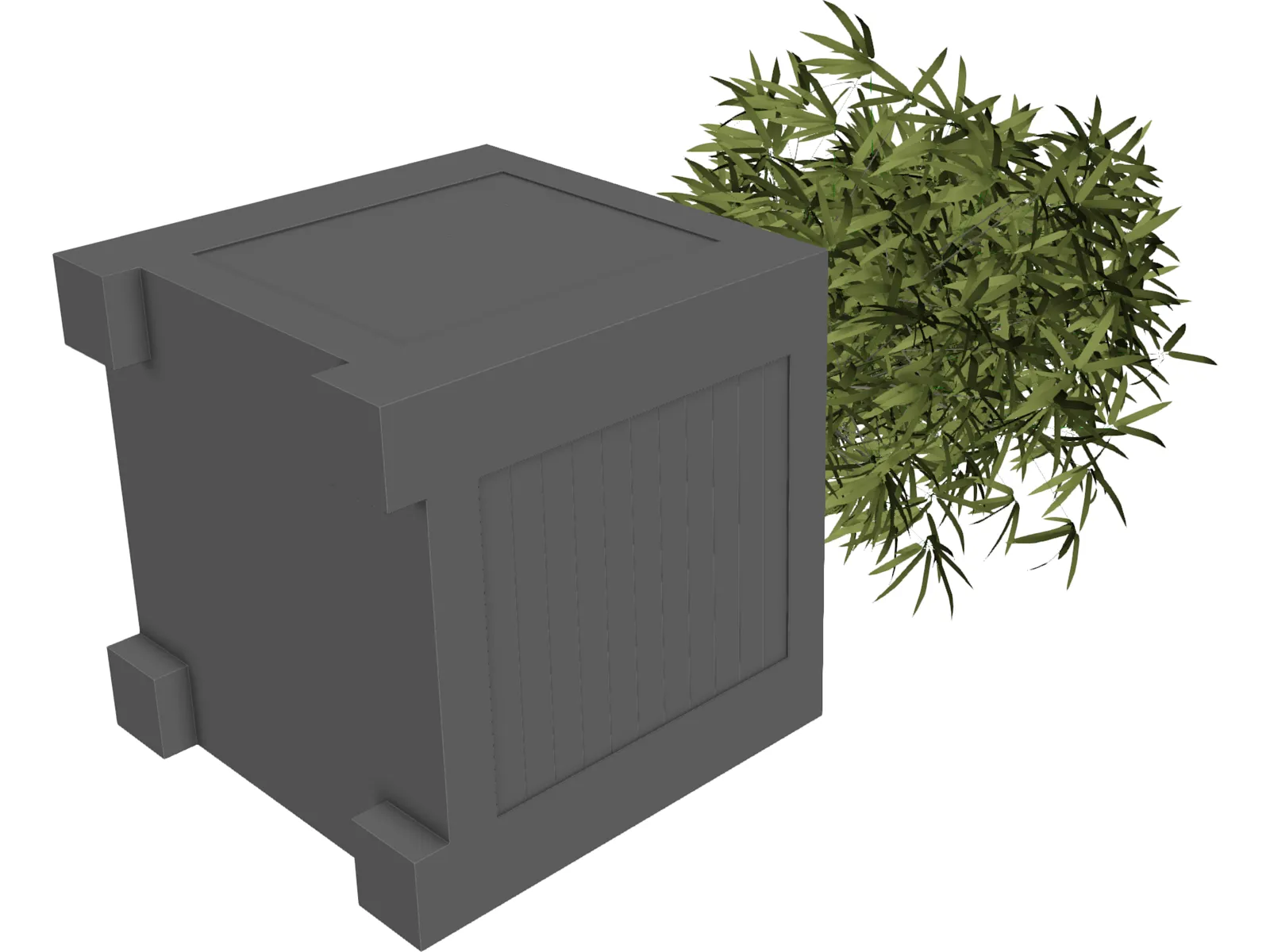 Bamboo Plant 3D Model main preview