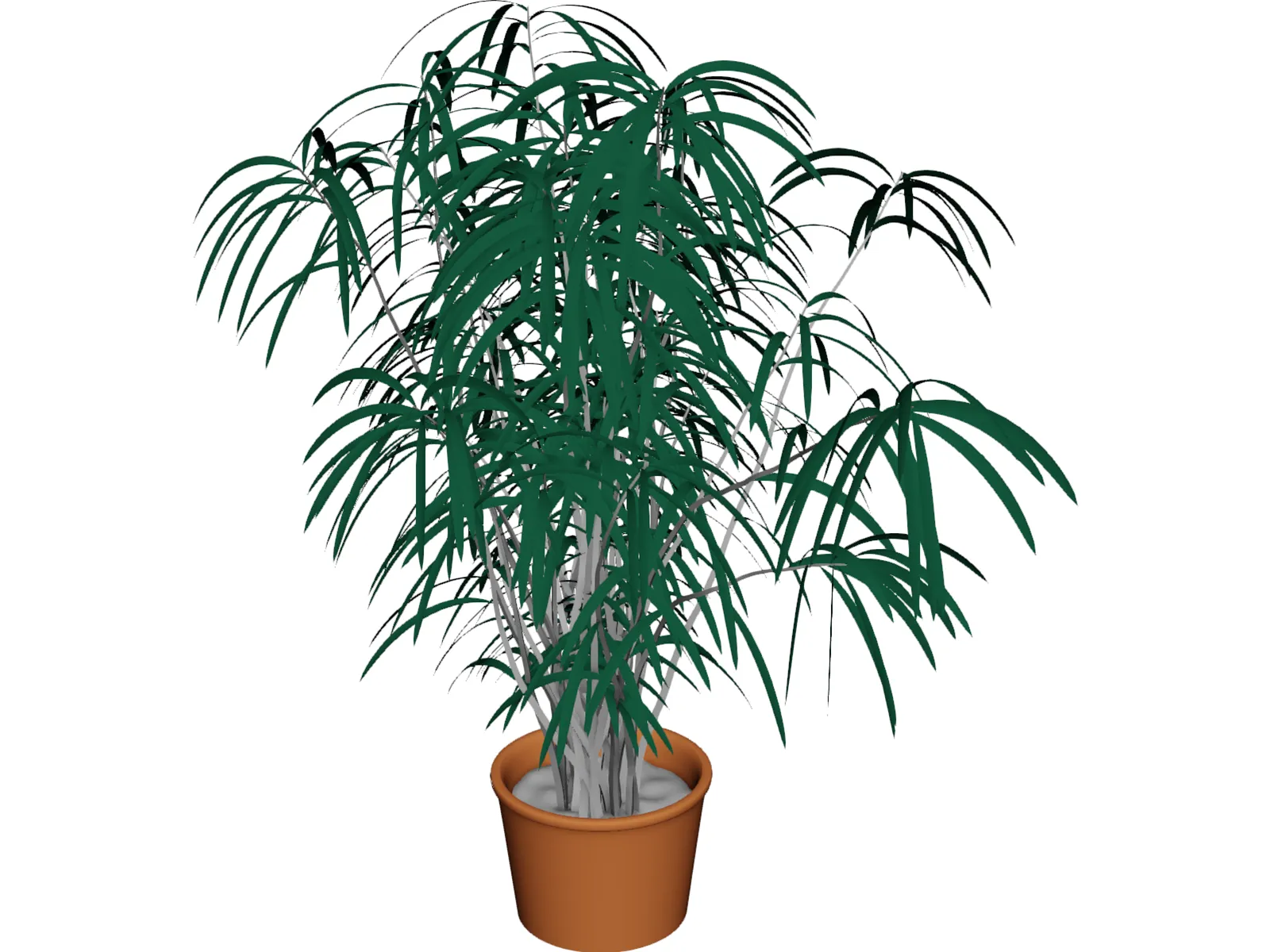 Indoor Plant 3D Model main preview
