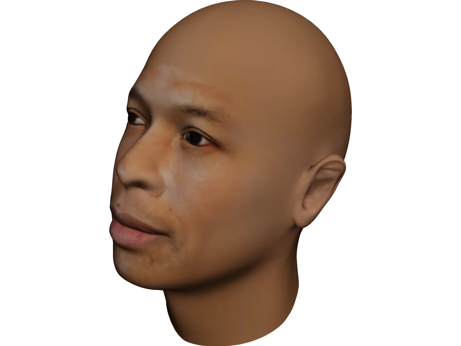 Dr Dre Head 3D Model main preview