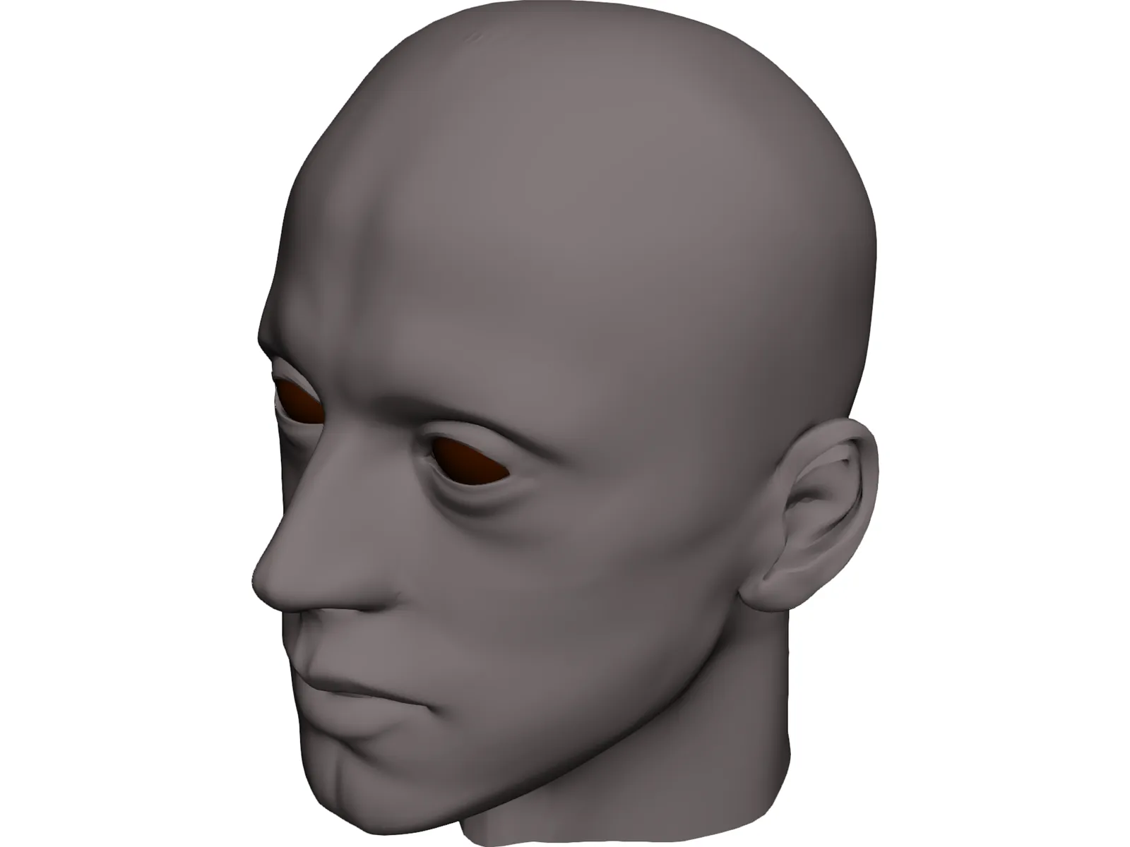 Man Head 3D Model main preview