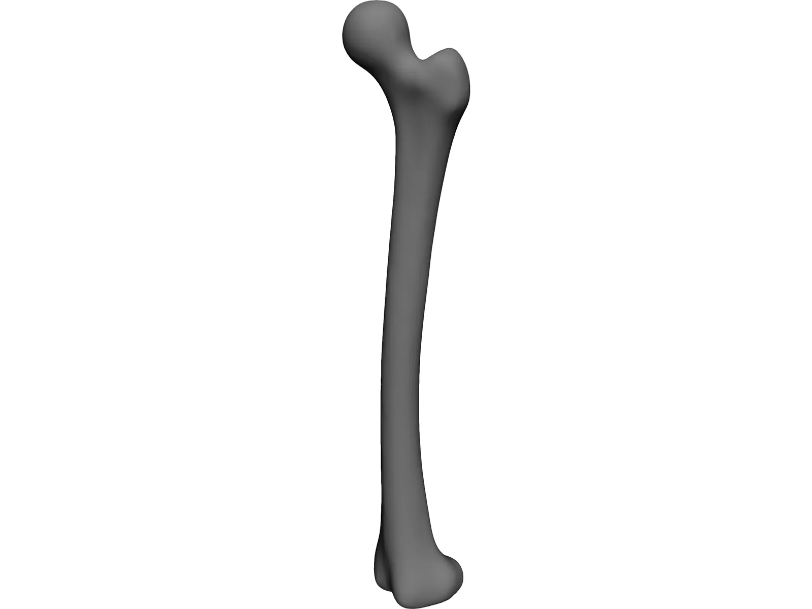 Femur Bone 3D Model main preview