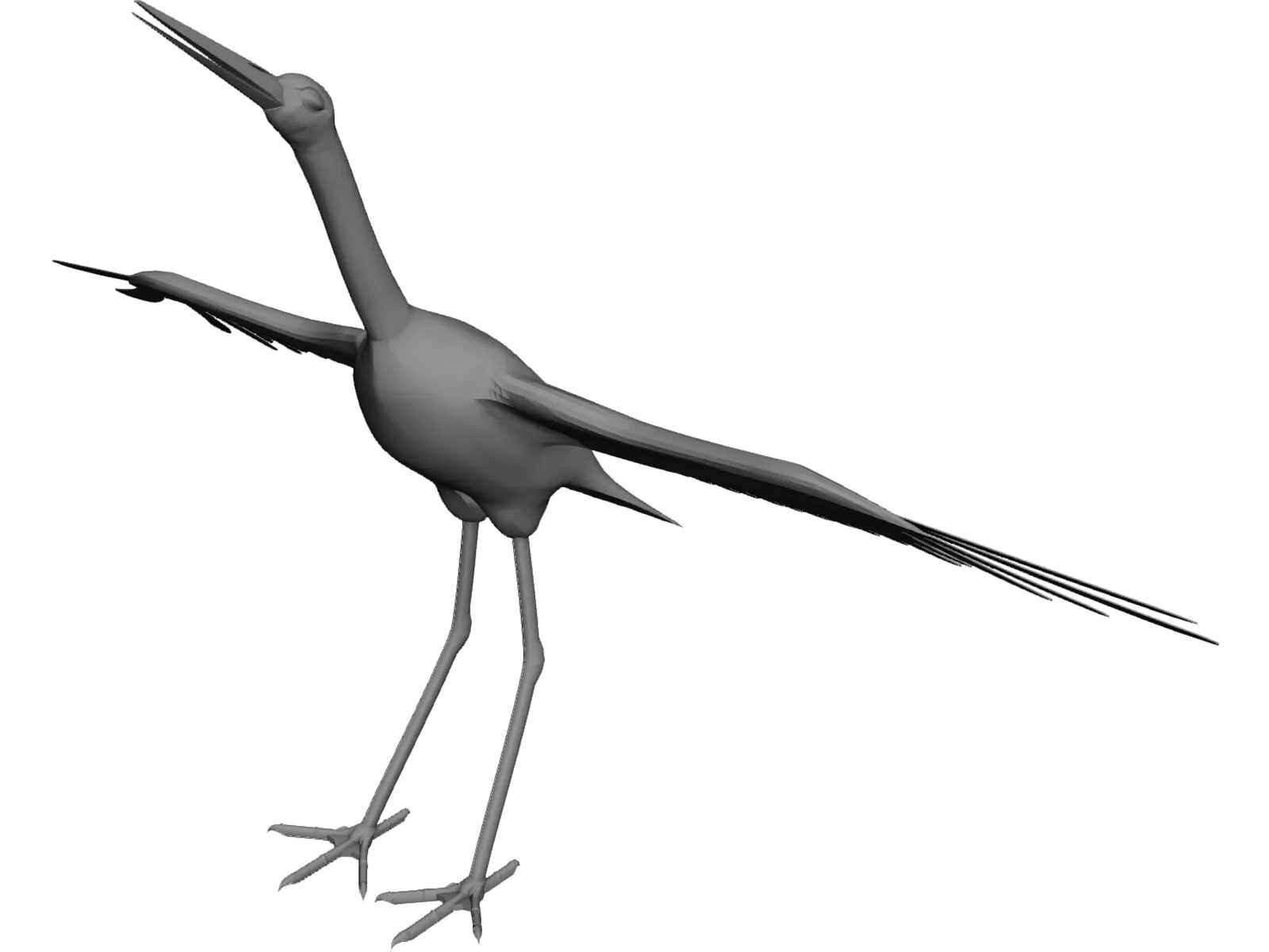 Ciconia Stork 3D Model main preview