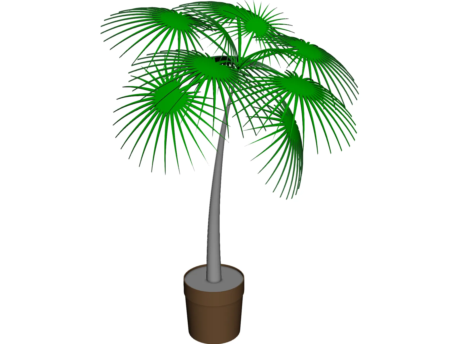 Palm Tree Plant 3D Model main preview