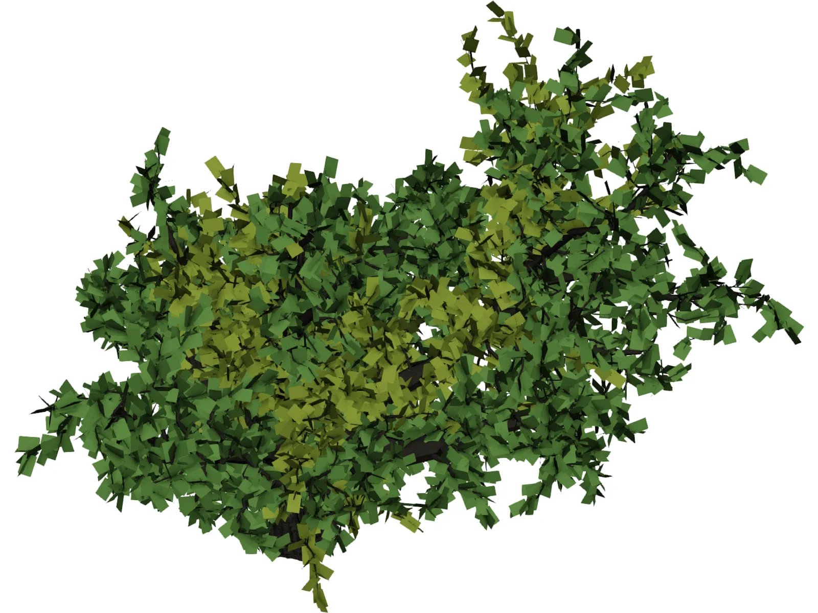 Oak Tree 3D Model main preview