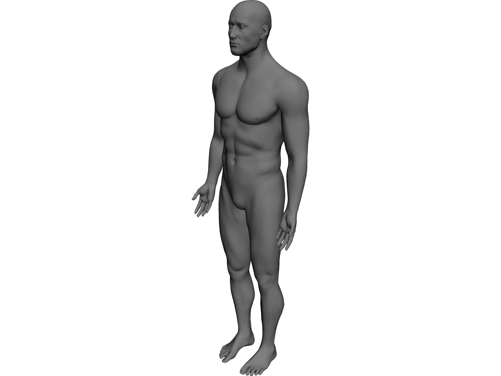 Man 3D Model main preview