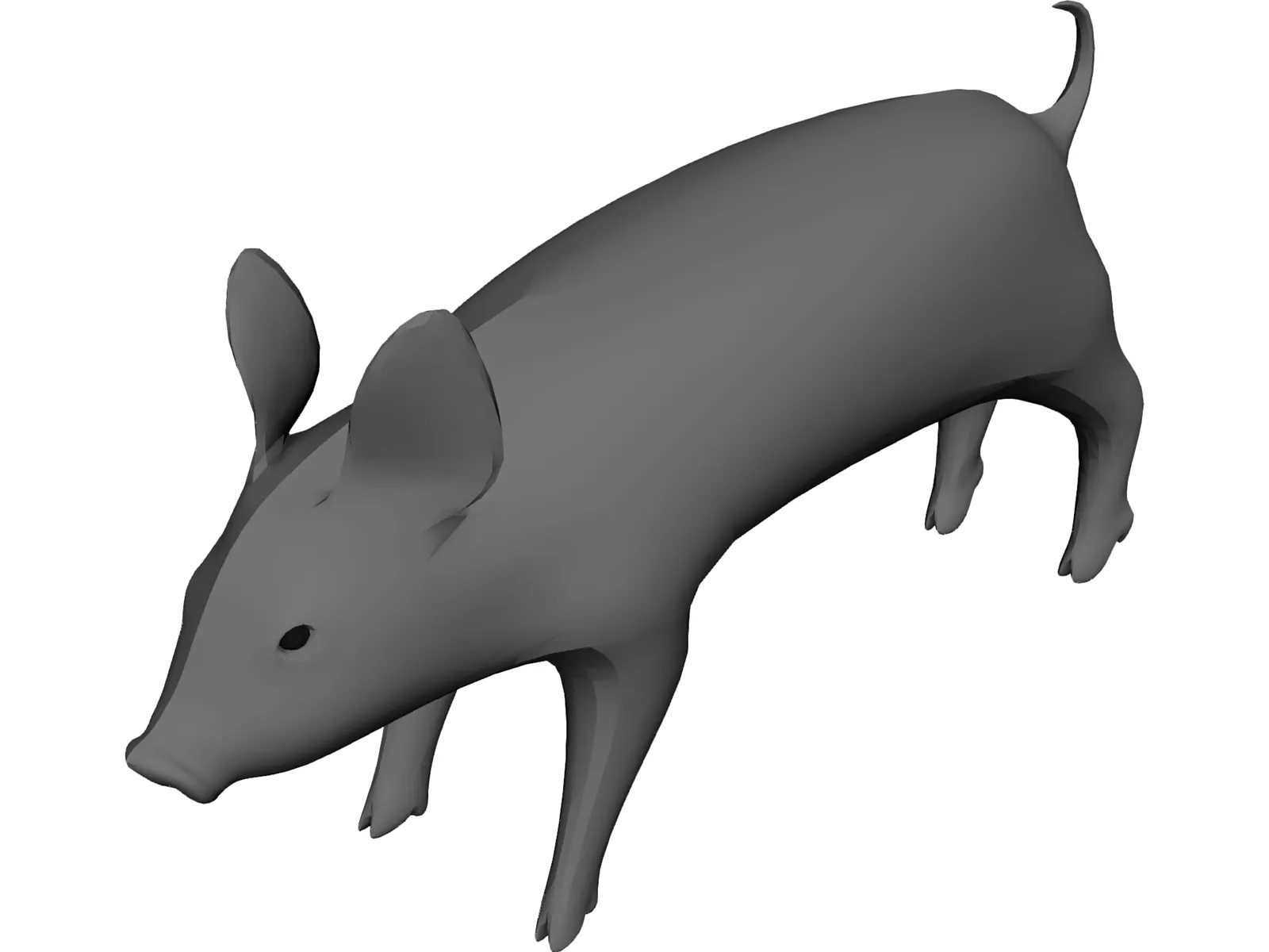 Pig 3D Model main preview