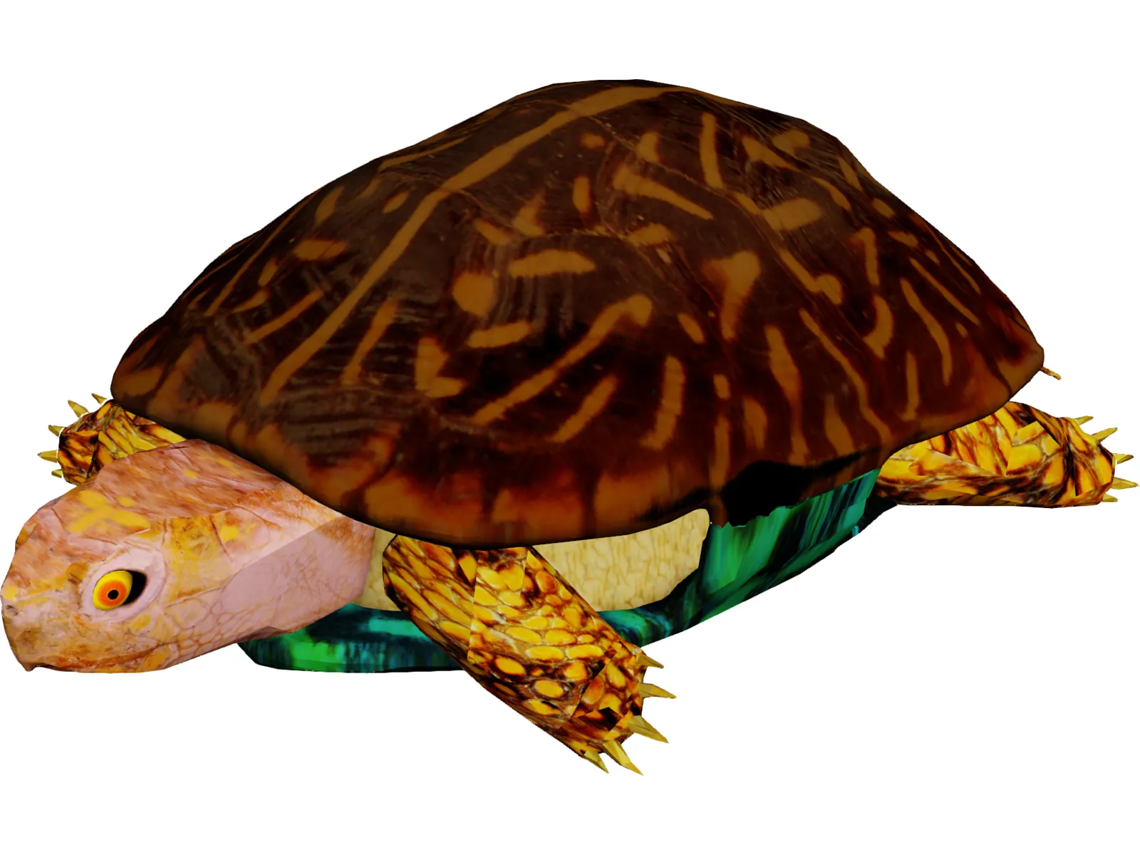 Turtle 3D Model main preview