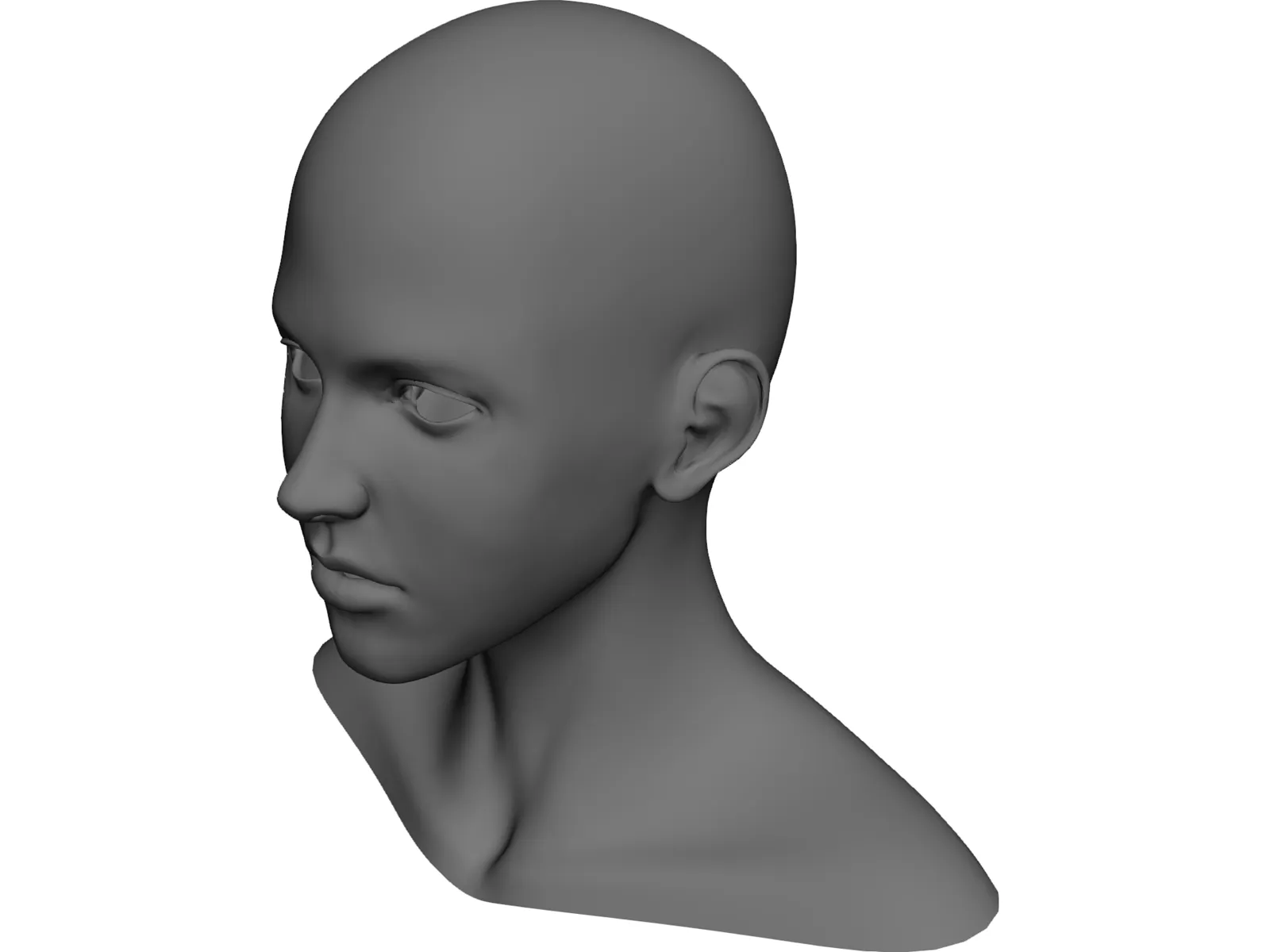 Girl Head Human 3D Model main preview