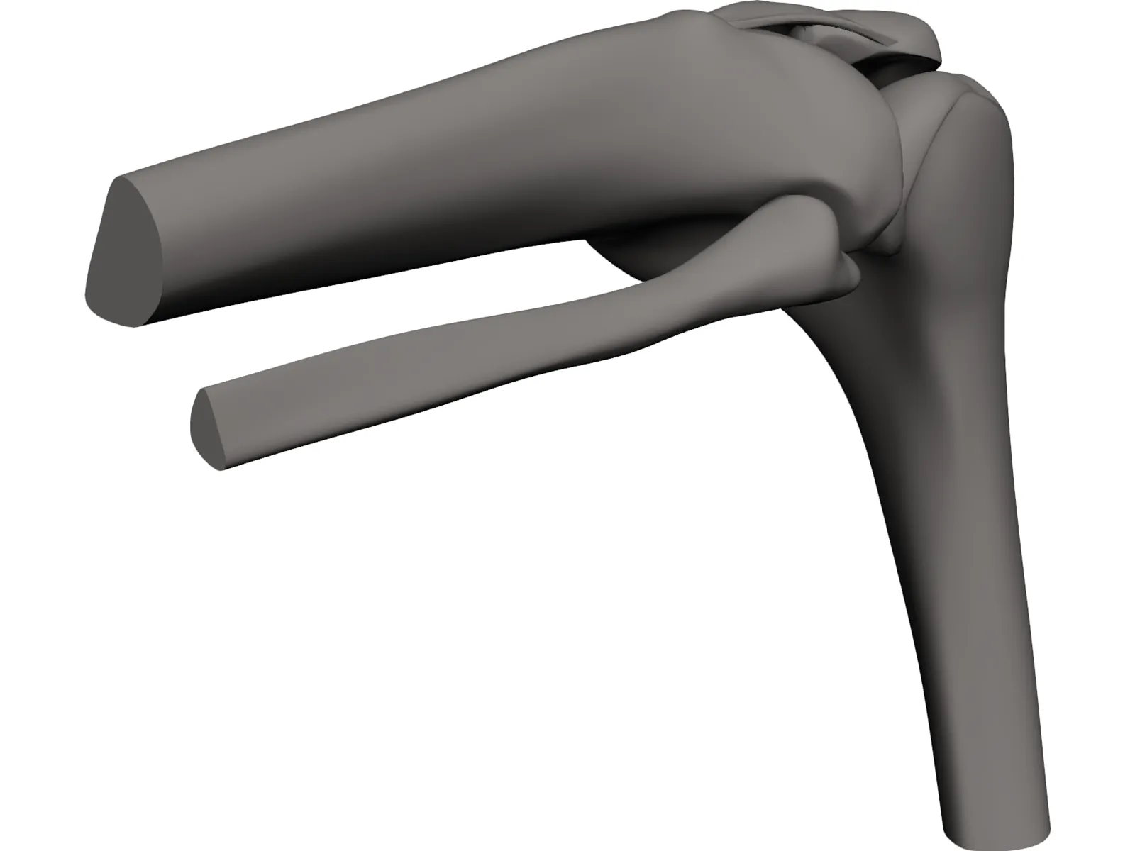 Knee Joint Human 3D Model main preview