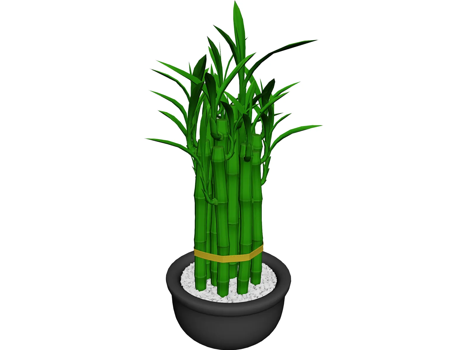 Lucky Bamboo 3D Model main preview