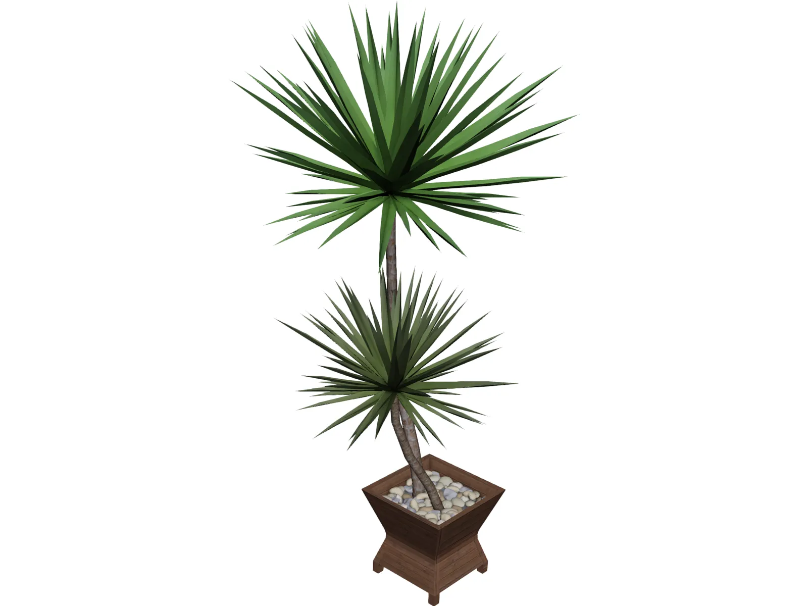 Yucca Plant 3D Model main preview