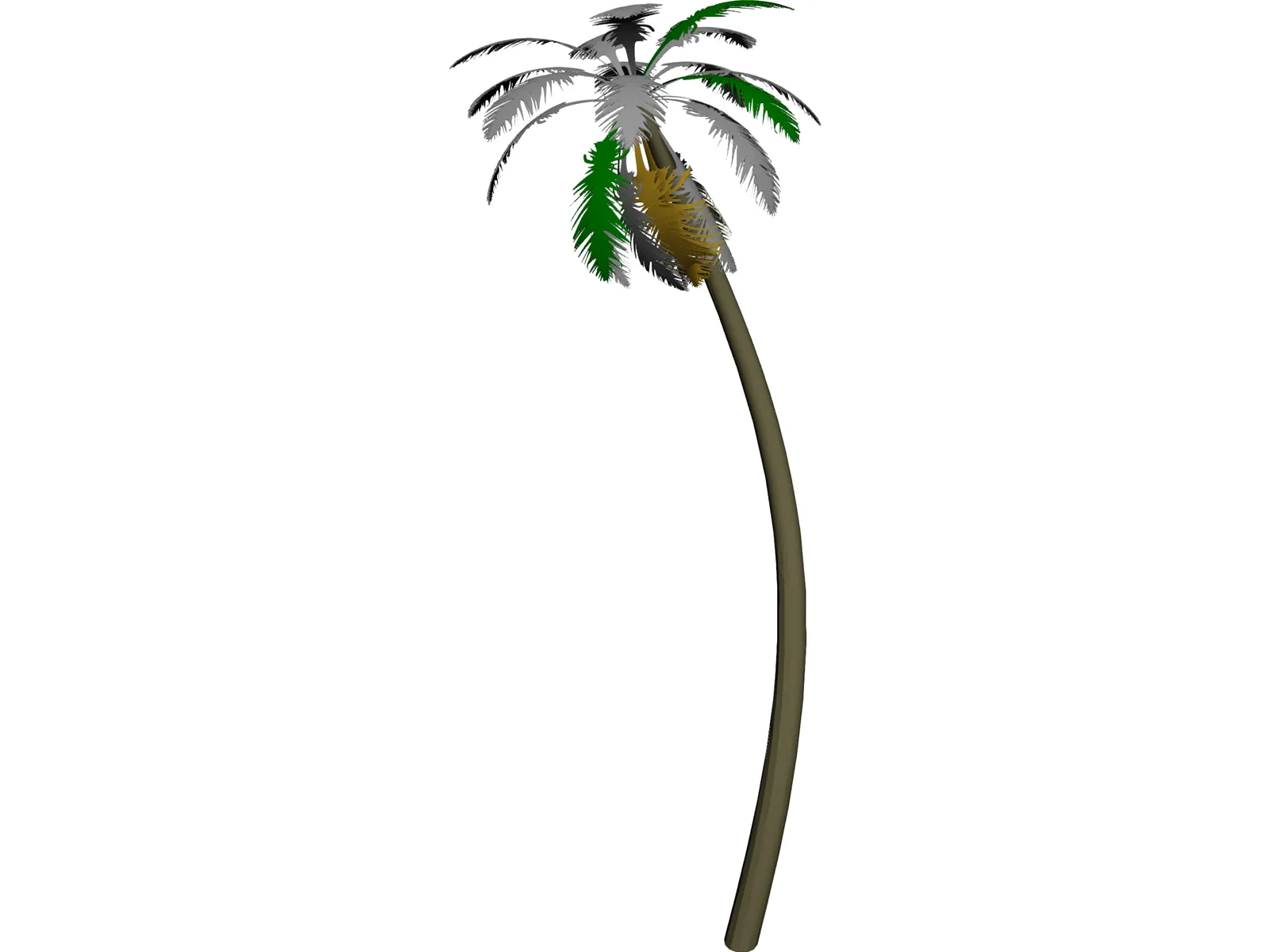 Tree Palm 3D Model main preview