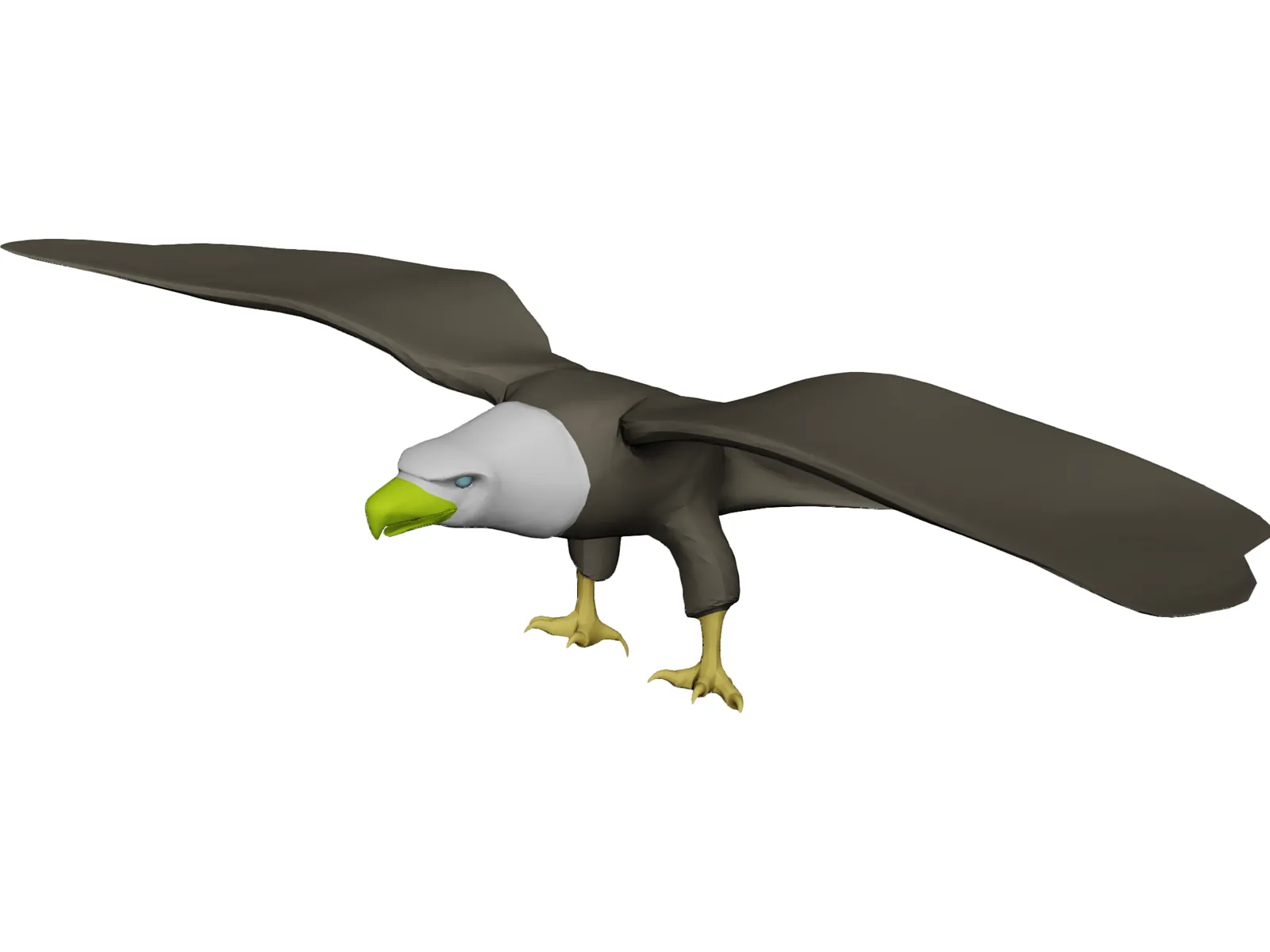 Eagle Bald 3D Model main preview