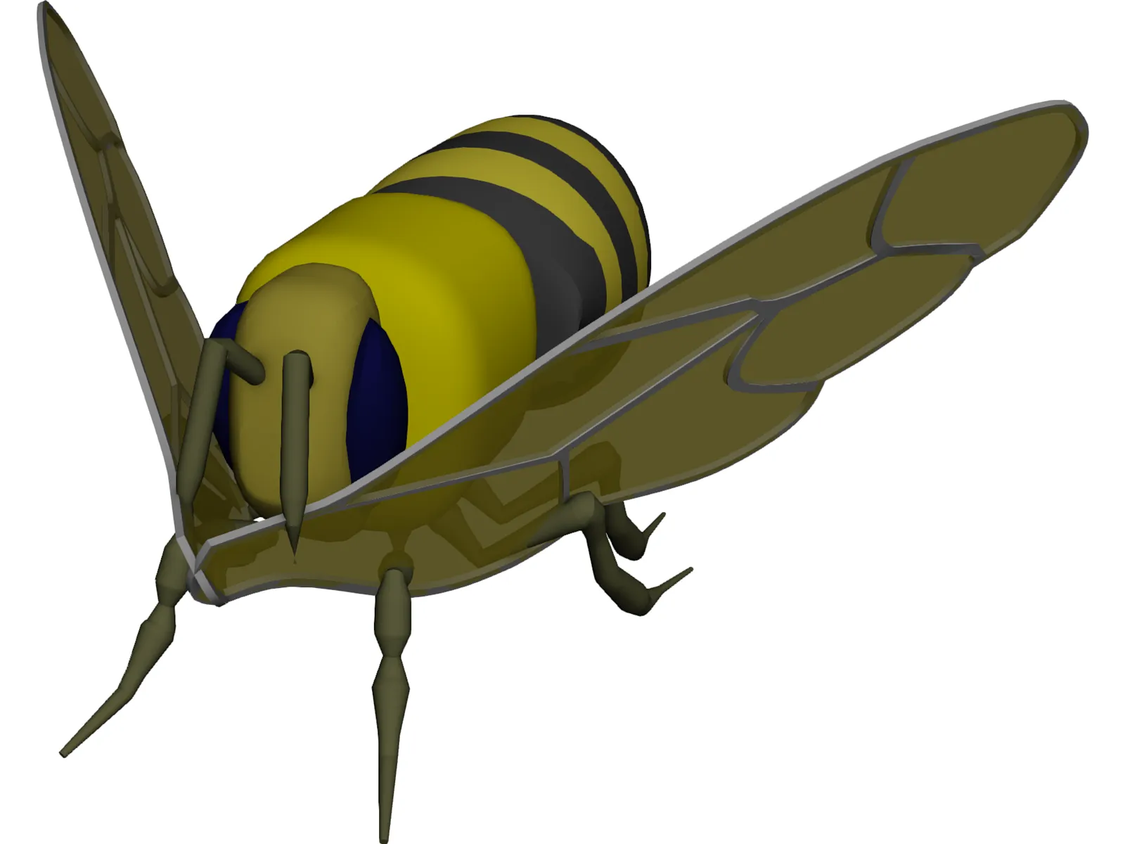 Bee 3D Model main preview