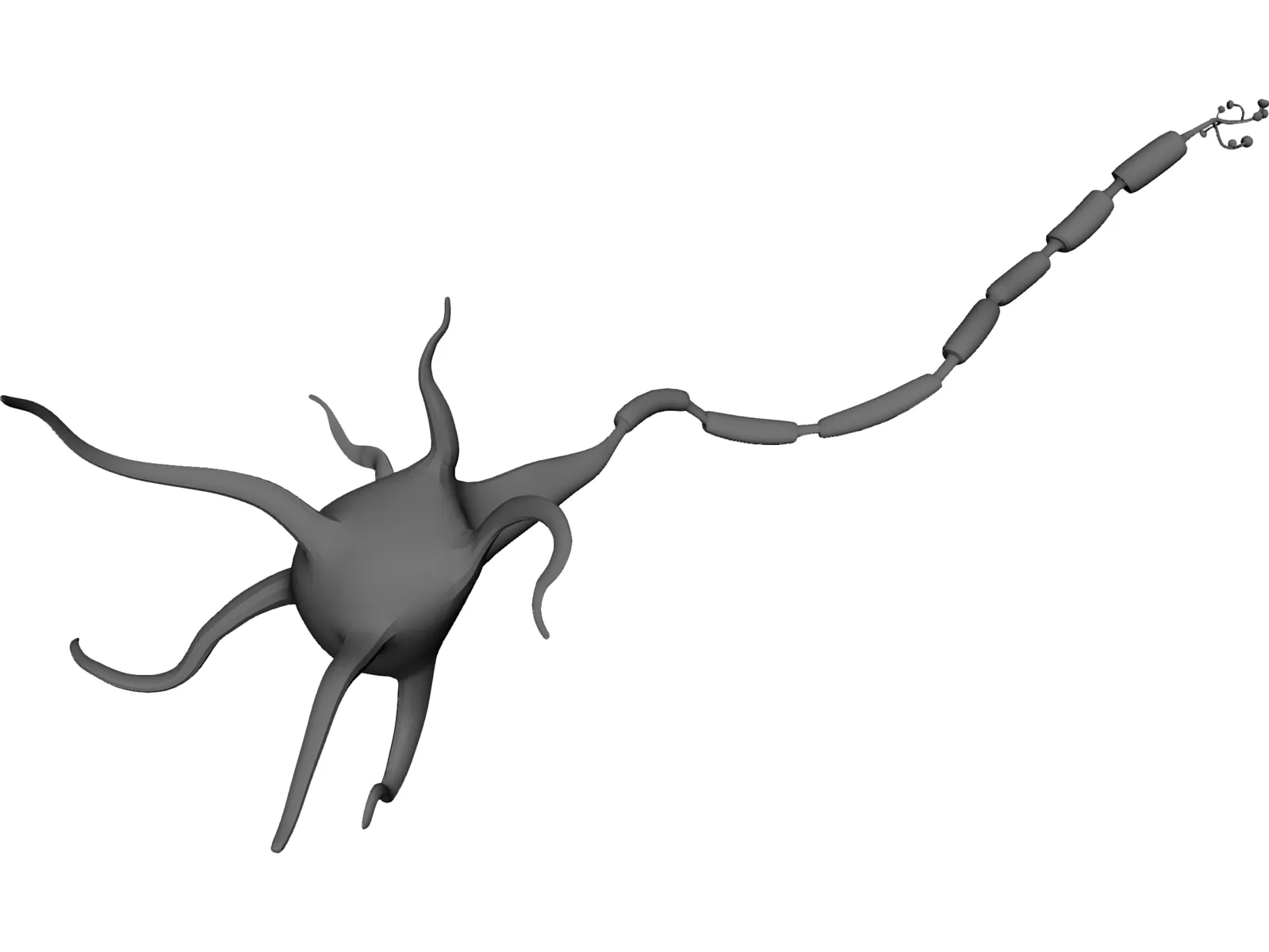Neuron 3D Model main preview