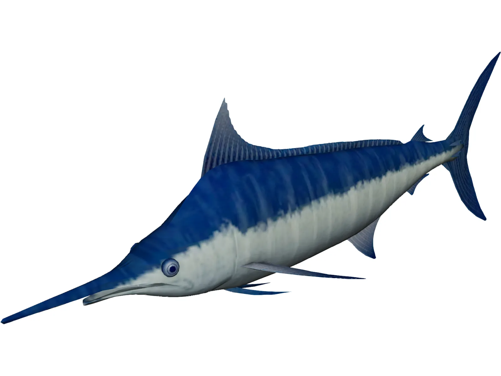 Marlin Blue 3D Model main preview