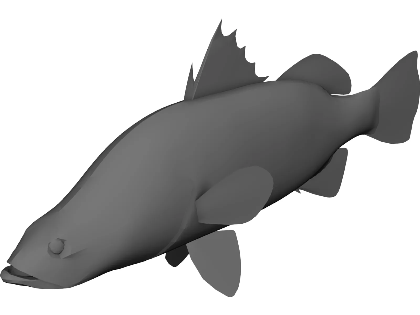 Barramundi 3D Model main preview