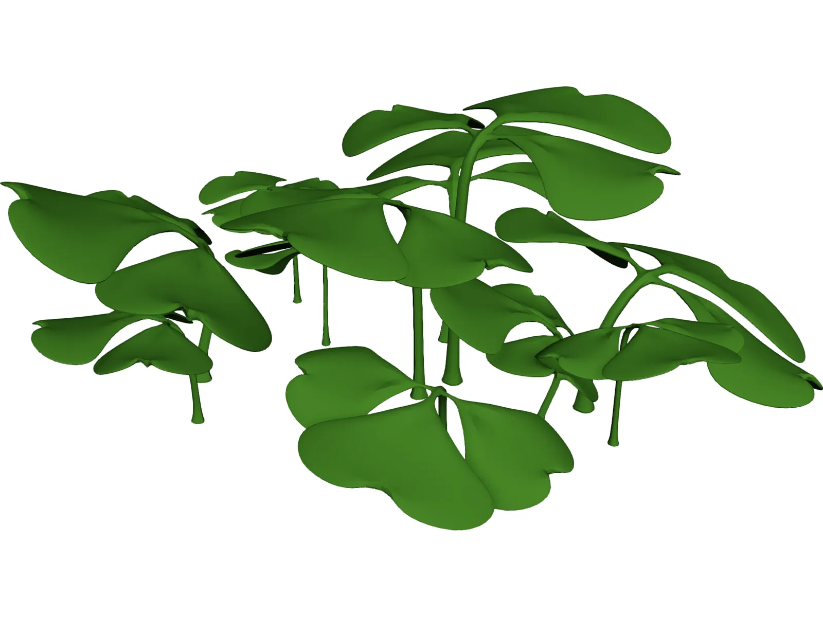 Clover Patch 3D Model main preview