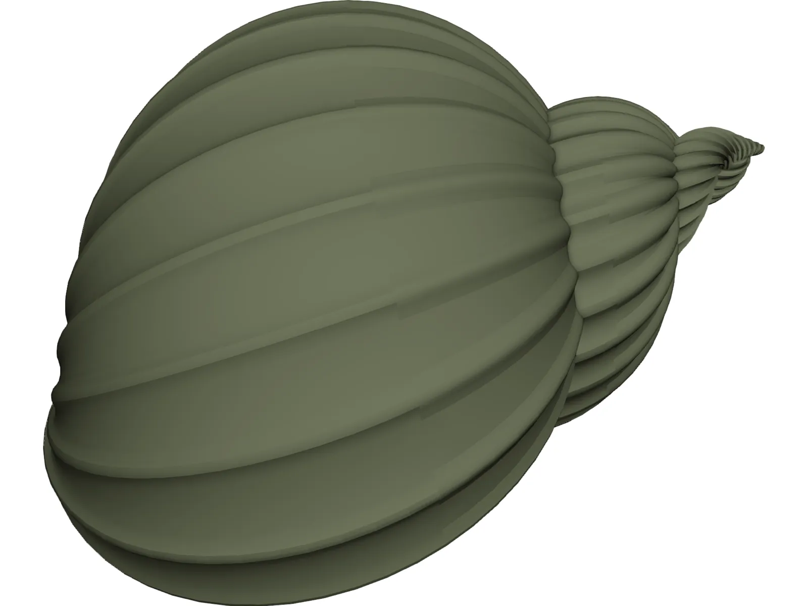Shell Sea 3D Model main preview