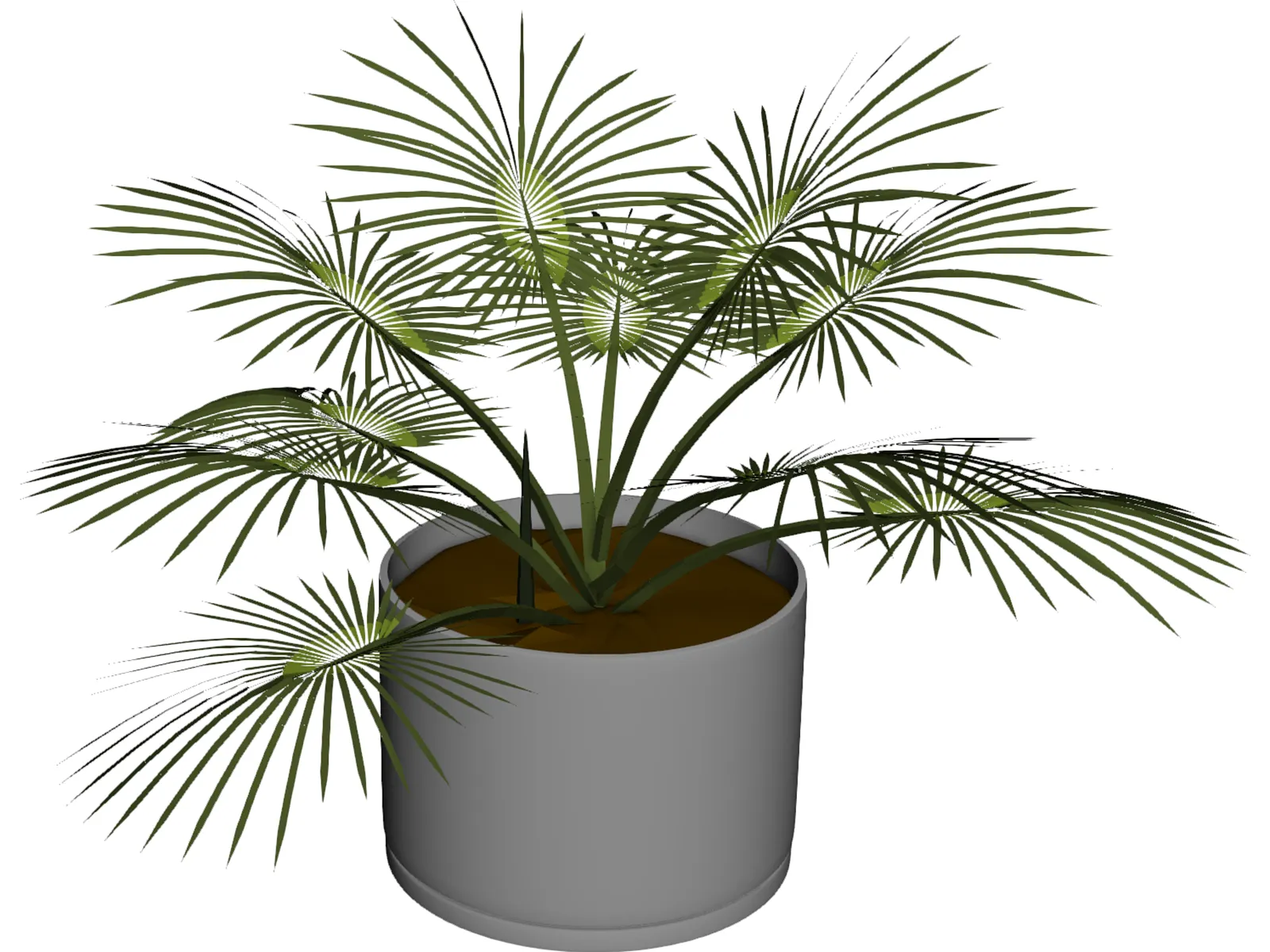 House Plant 3D Model main preview