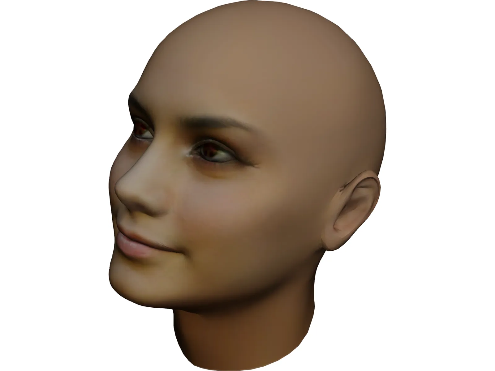 Woman Head 3D Model main preview