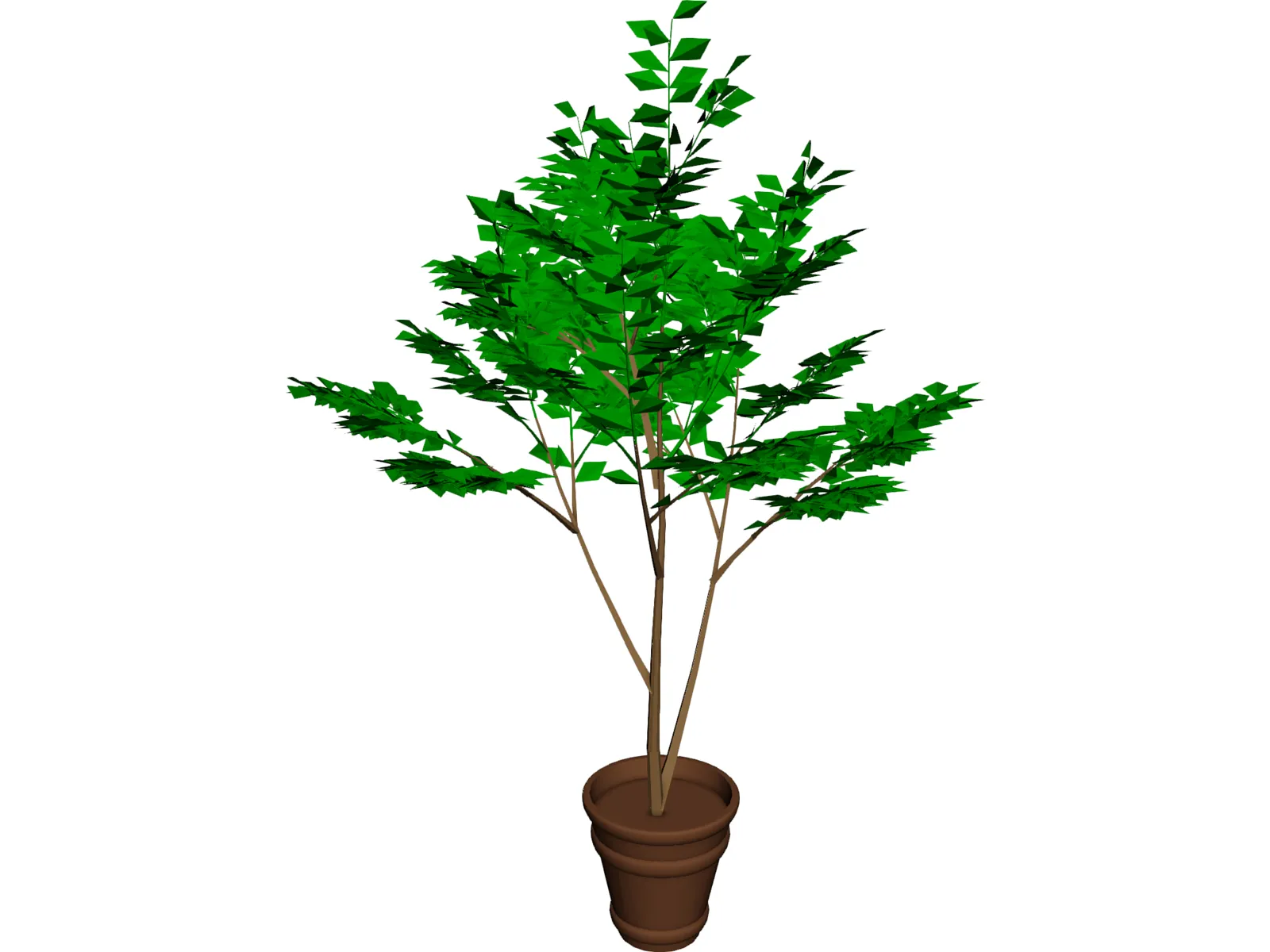 Potted Tree 3D Model main preview