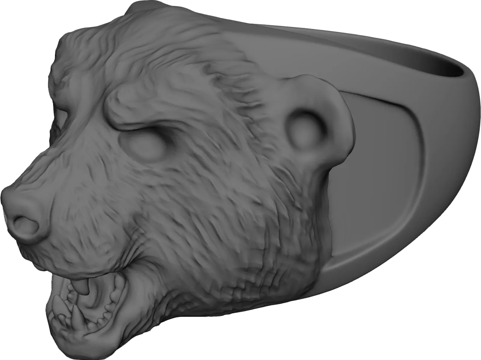 Ring Bear 3D Model main preview