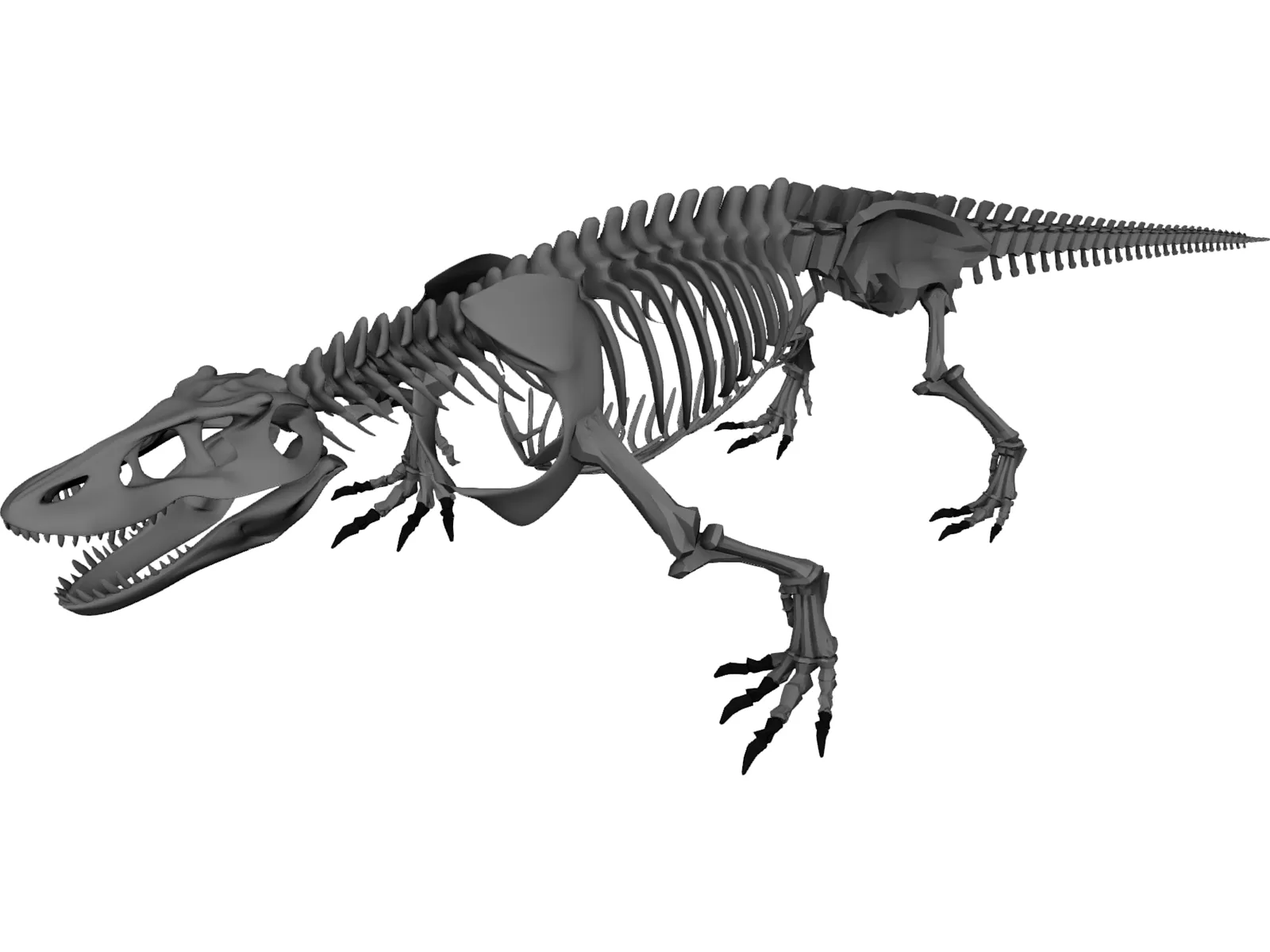 Komodo Dragon Skeleton 3D Model main preview