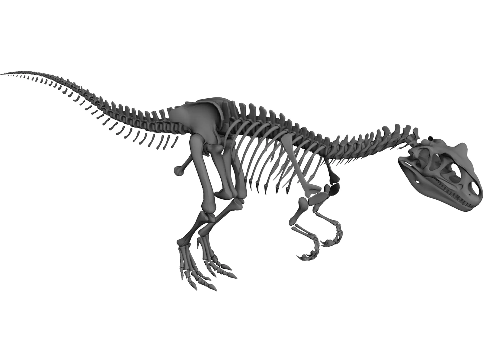 Allosaurus Skeleton 3D Model main preview